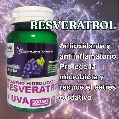 Vitalidad Suprema Combo de 3 Productos (Resveratrol-NAD+-Té Matcha)