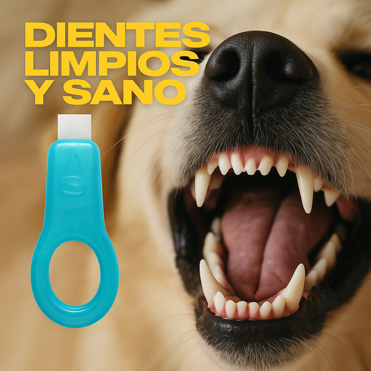 Kit blanqueador dental para Perros  (Anti-Sarro) Cepillo especial, x5 tiras blanqueadoras