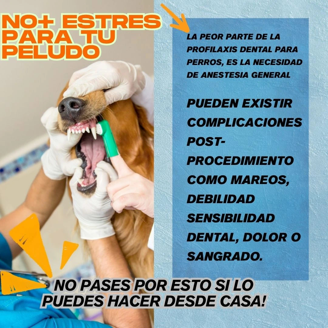 Encabezado