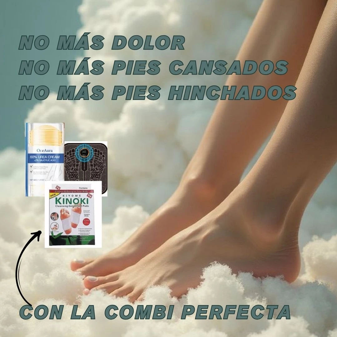 Encabezado