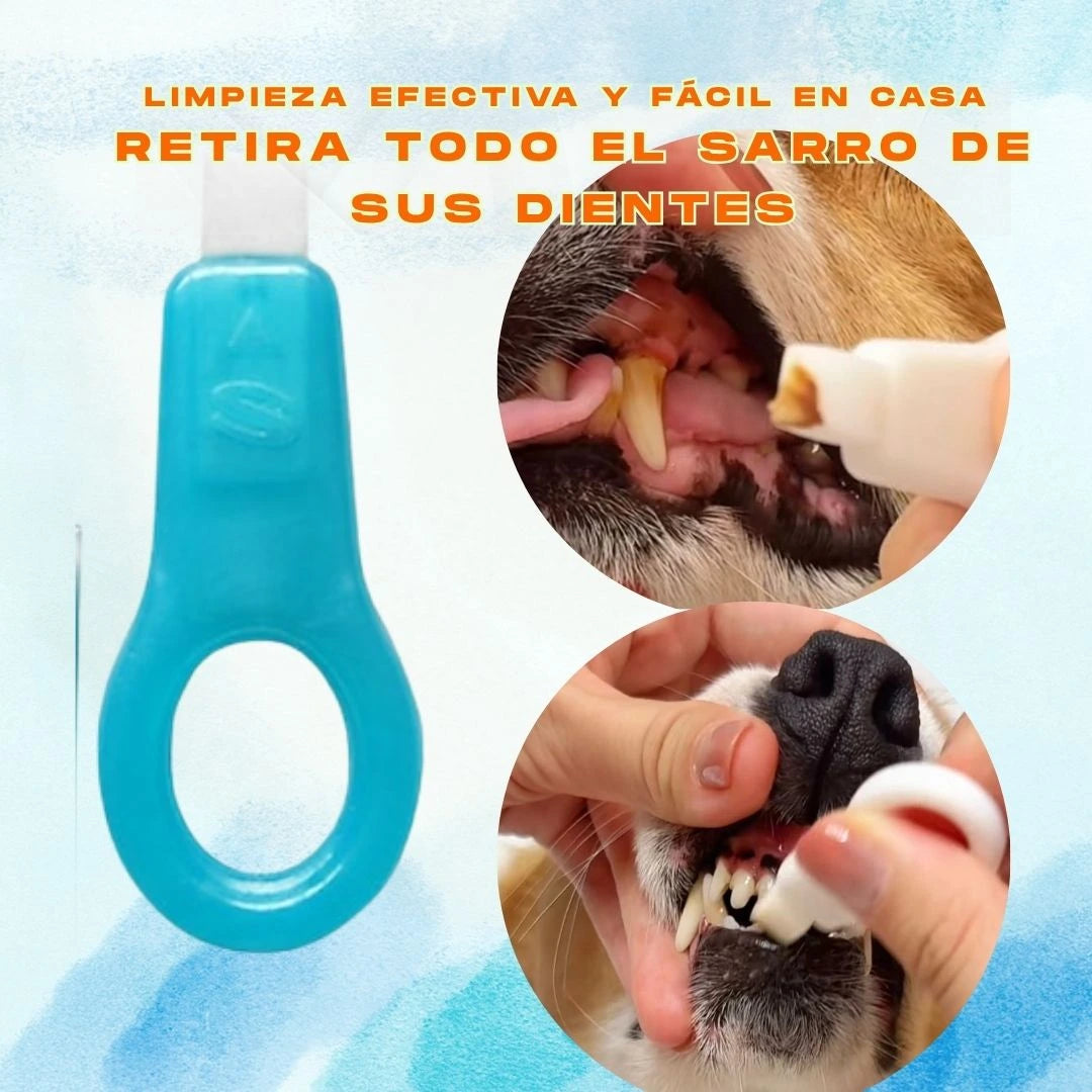 Kit blanqueador dental para Perros  (Anti-Sarro) Cepillo especial, x5 tiras blanqueadoras